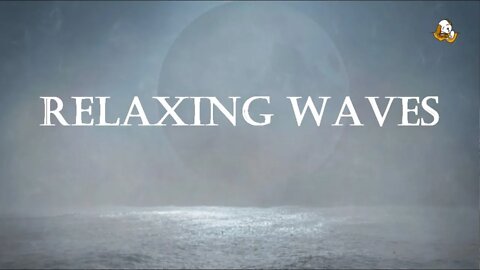 TROUBLE FALLING ASLEEP? RELAXING OCEAN WAVES: For Meditation, Ambience, Study, Sleep & More.