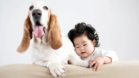 Funny Baby And Vizsla Dogs