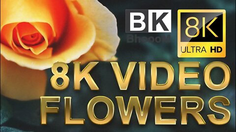 Beautiful 8K video | Flowers Planet Earth Amazing Nature 8K Scenery #8K #FLOWERS #ULTRA