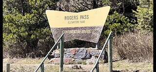 Rogers Pass, Montana 4/23/24