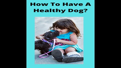 How To Have A Healthy Dog?