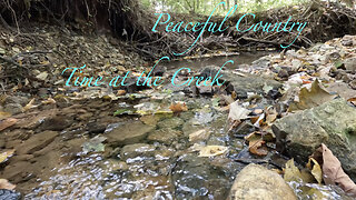 Time at the Creek