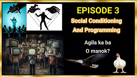 SOCIAL CONDITIONING AND PROGRAMMING(NPC/The Eagle and the chickens)