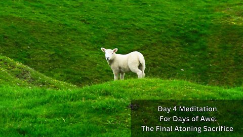 Day 4 Meditation, Days of Awe, 2022: The Final Atoning Sacrifice