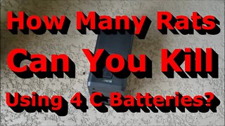 How many rats can you kill with 4 C batteries?