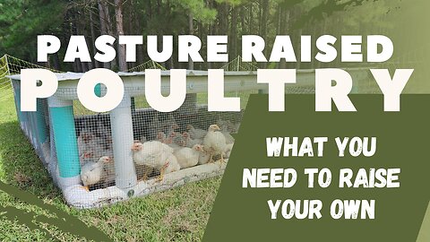 Pasture-Raised Poultry: Tips and Tricks