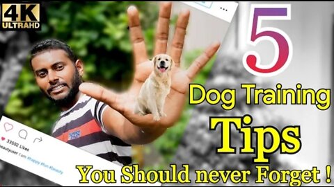 Dog training video🐕🐶🐶❤🐕🐕‍🦺🐕‍🦺 trainer 🐕