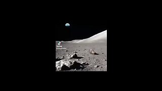 Dog on the moon