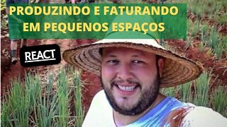 Como ganhar dinheiro produzindo em pequenos espaços REACT