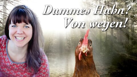 Dummes Huhn? Von wegen!