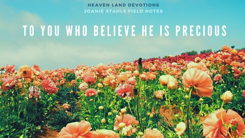 Heaven Land Devotions - To You Who Believe He Is Precious