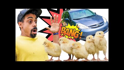 BANG! New CHICKS made me drive off the road | Not Really, but I did