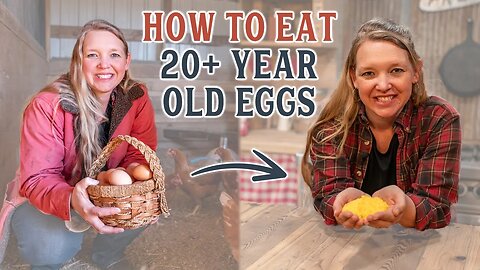 How I Store Eggs for 20+ years (no canning required!!)
