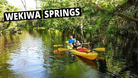 Wekiwa Springs Kayaking & Florida Camping