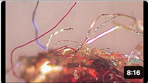 WARNING ... !!! Living Morgellons fibers in CV 19 test swabs - MUST SEE .. !!