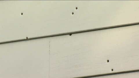 At least 25 bullets pierced through home as mother and children slept