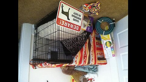 Review BestPet Dog Crate for Large Medium Dogs Dog Cage Kennel 2430364248Inches Pet Playpen...