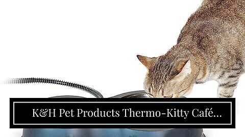 K&H Pet Products Thermo-Kitty Café Outdoor Heated Cat Bowl - No More Frozen Food or Water