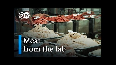 The world of meat substitutes | DW Documentary