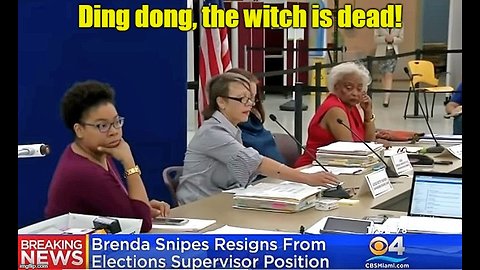 Brenda Snipes resigns after botched Florida recount