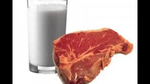 Why Do Jews Separate Meat And Milk? STOP The Insanity!