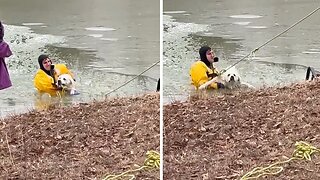 Firefighters rescue dog after falling through ice