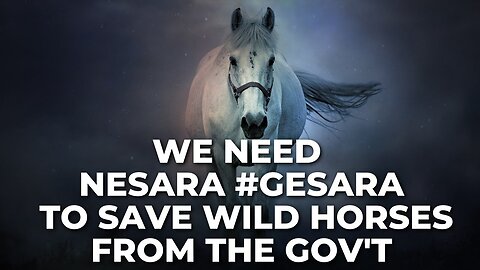 Jan 9, We Need Nesara #Gesara to Save the Wild Horses from the Government!