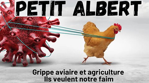 Petit Albert avec vous - Grippe aviaire et agriculture