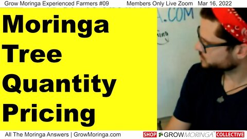 Moringa Tree Quantity Pricing