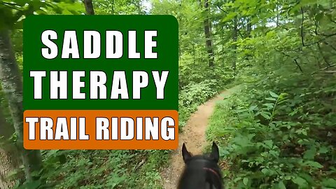 Ep 4: Saddle Therapy - Trail Riding in the Wayne National Forrest
