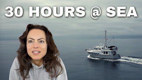 Do you want to see what 30+ hours at sea looks like? WATCH this video to find out! [MV FREEDOM]