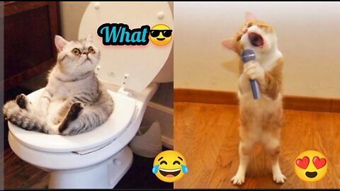 Funny Animal Videos 2023 😂 - Funniest Cats And Dogs Video🥰😂