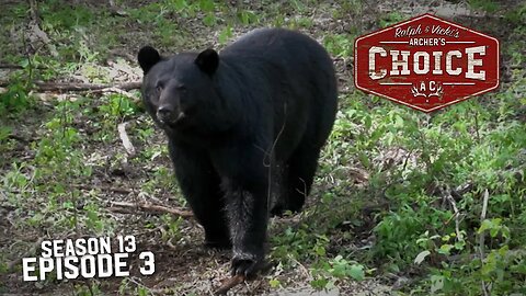 Spring Bear'N Down up in Alberta - Archer’s Choice (Full Episode) // S13: Episode 3