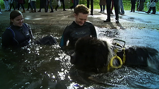 Dogs Show Off Life Saving Skills