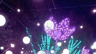 Philadelphia Zoo's Lumination Shimmers Again! 🌉