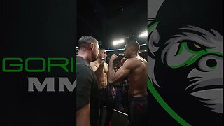 Jai Herbert vs Fares Ziam: UFC London Face-off