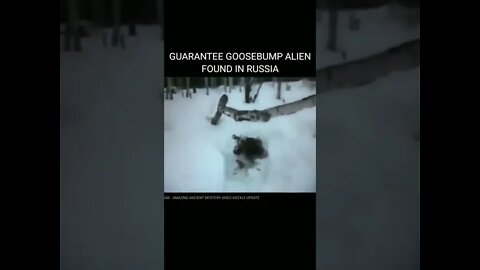 'Dead Alien' Video on YouTube Goes Viral