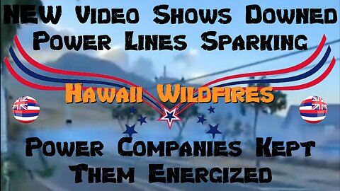 NEW: Video Shows Downed Power Lines Sparking Hawaii Wildfires - Power Companies Kept Them Energized!