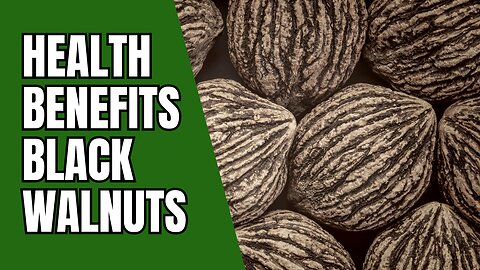 Cracking the Health Secrets of Black Walnuts