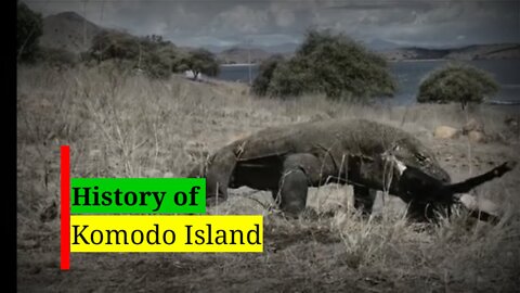 The history of the Komodo island that is not yet known to the public