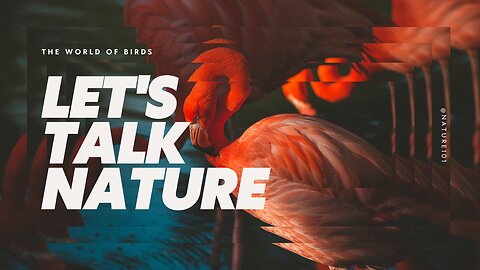 Uncover the Secret Lives of Birds: Discovering the Fascinating World of Feathered Friends