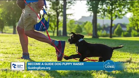 Become A Guide Dog Raiser! // Guiding Eyes