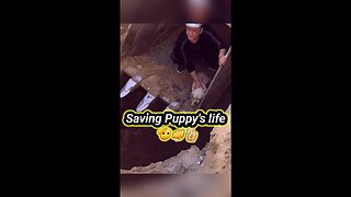 Saving Puppy's life 🐶 , good job 👏