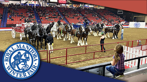 Royal Manitoba Winter Fair - 2023 - Brandon, MB