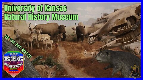 BEC Watch Entries: #32 University of Kansas Natural History Museum