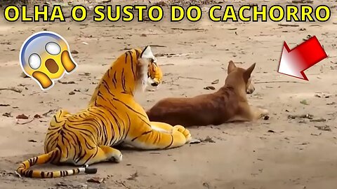 Assustando CACHORRO com TIGRE de pelucia 😱😆 | Fake Tiger vs Real Dogs Prank Very Funny