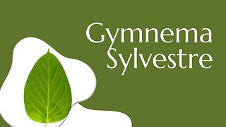 Gymnema Sylvestre