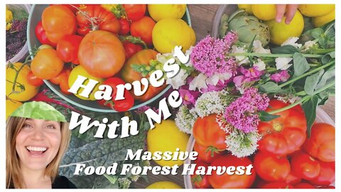 Relaxing Food Forest Harvest Day - Harvest With Me 🥬🥑💐🍅 May