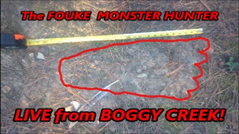 WORLD BIGFOOT TV ~ The FOUKE MONSTER HUNTER, LIVE at BOGGY CREEK