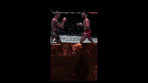 UFC 300